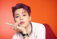 jimin choses a savoir bts