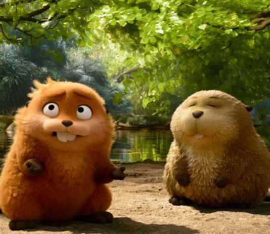 Jumpers : A partir de quel âge pour les enfants ? jumpers age