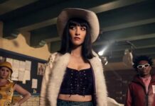 nico robin fruit du demon one piece