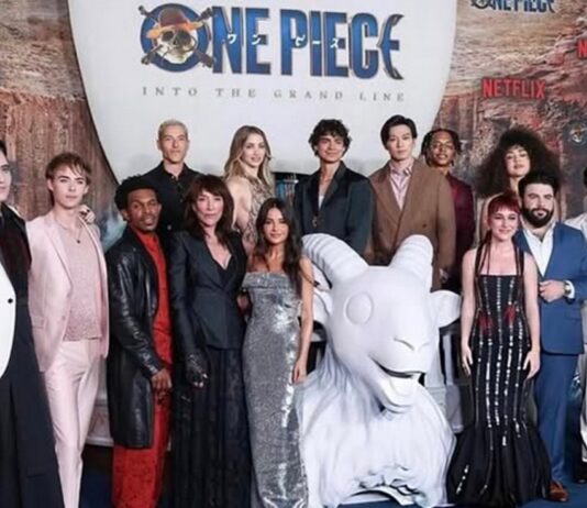 one piece acteurs couples