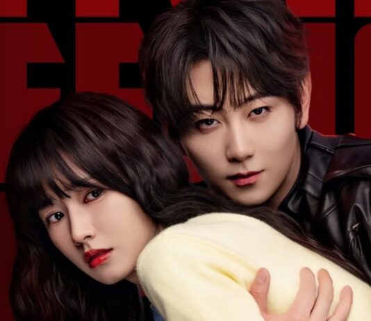 Affinité Saison 1 : Où regarder le C-drama en streaming en France ? ou regarder affinites streaming