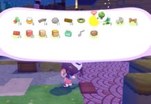 pokemon pokopia agrandir inventaire