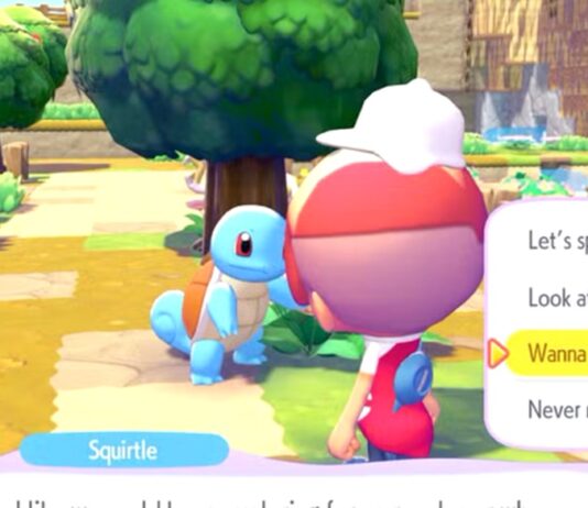 pokemon pokopia arrete de suivre