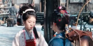pursuit of jade netflix france