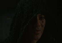 qui est la personne qui sauve luffy