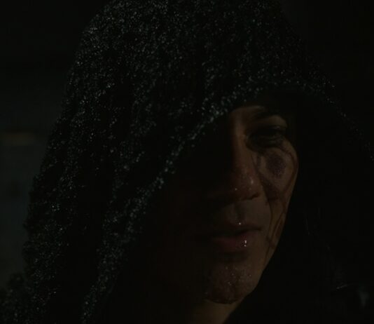 qui est la personne qui sauve luffy