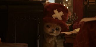 qui joue tony tony chopper one piece