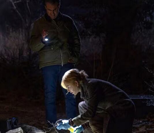 scarpetta saison 1 fin