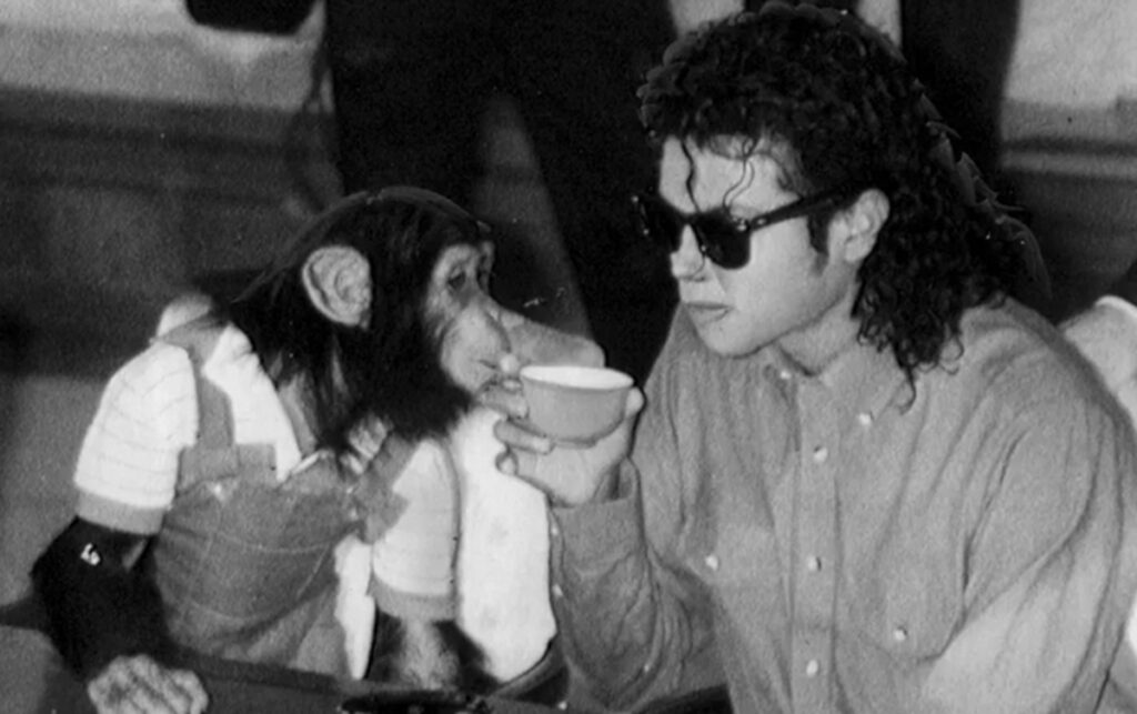 bubbles singe aujourdhui michael