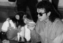 bubbles singe aujourdhui michael