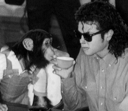 bubbles singe aujourdhui michael