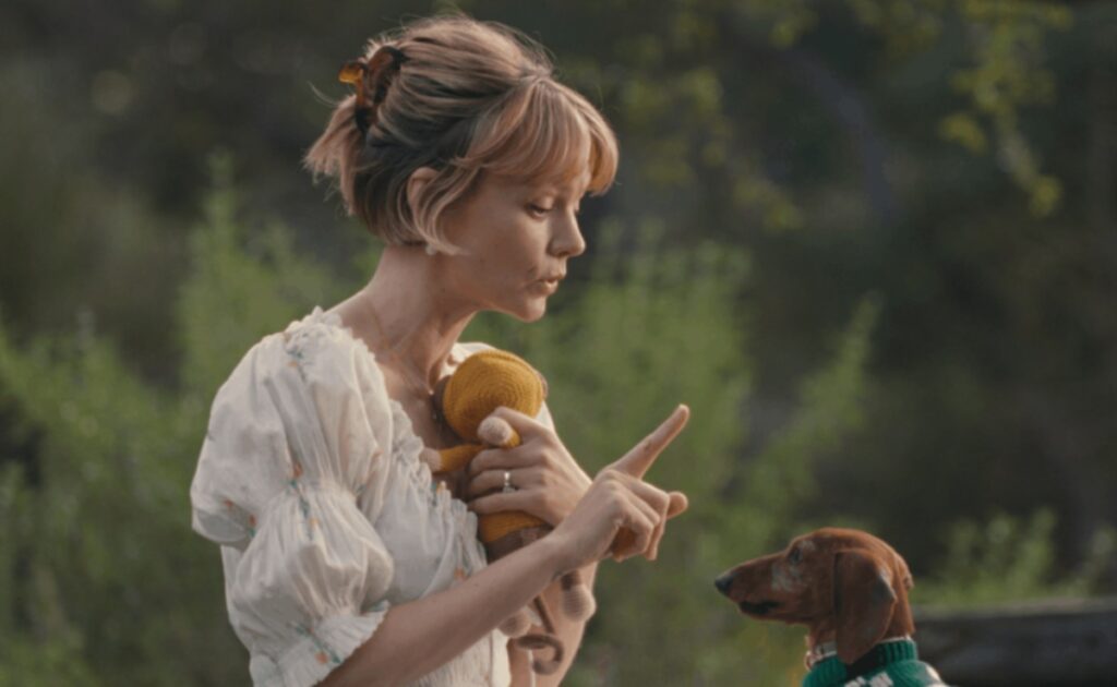 burberry mort chien acharnes