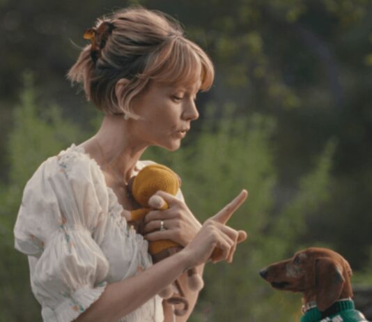 burberry mort chien acharnes