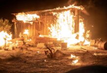 Dark Winds Saison 4 : Explication de la fin ! dark winds saison 4 fin