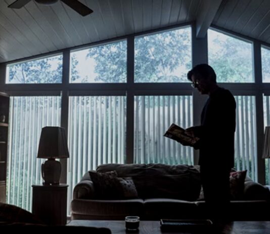 dtf saint louis saison 1 fin