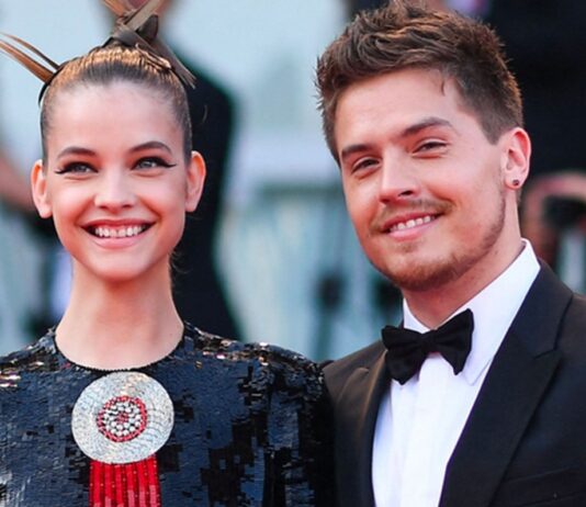 dylan sprouse cambriolage