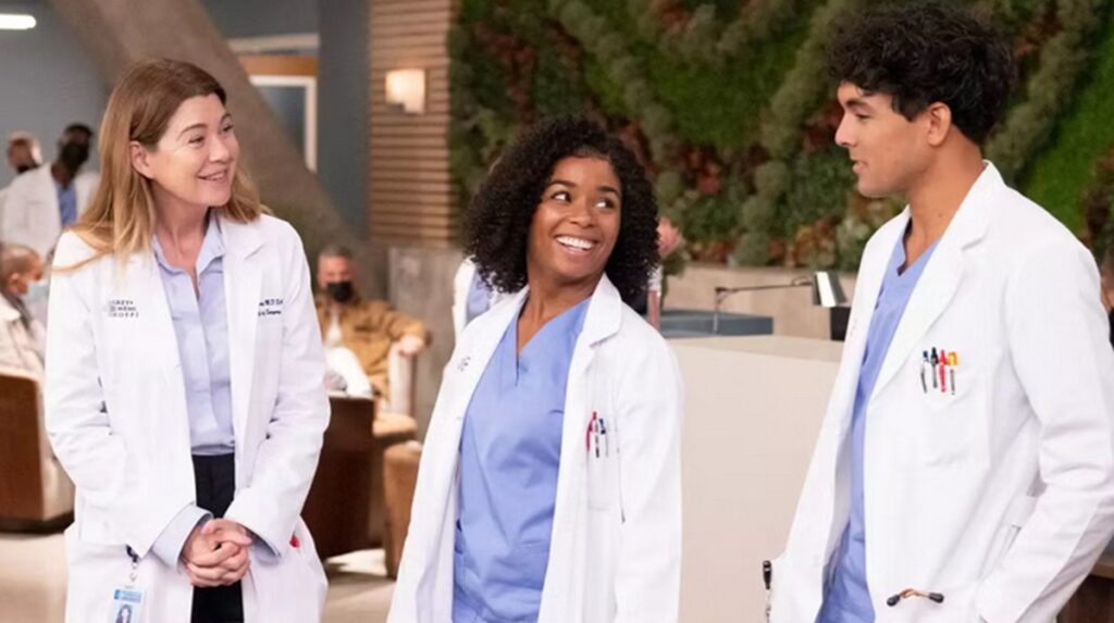 greys anatomy saison 23