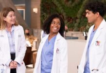 greys anatomy saison 23