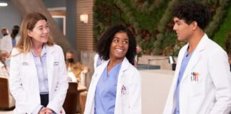 greys anatomy saison 23