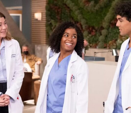 Grey’s Anatomy Saison 23 : Quelle date de sortie ? Une suite prévue ? greys anatomy saison 23