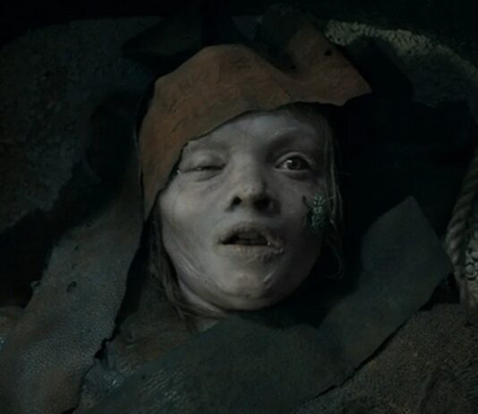 Le Réveil de la Momie : Quelle date de sortie Netflix ? Streaming ? le reveil de la momie streaming