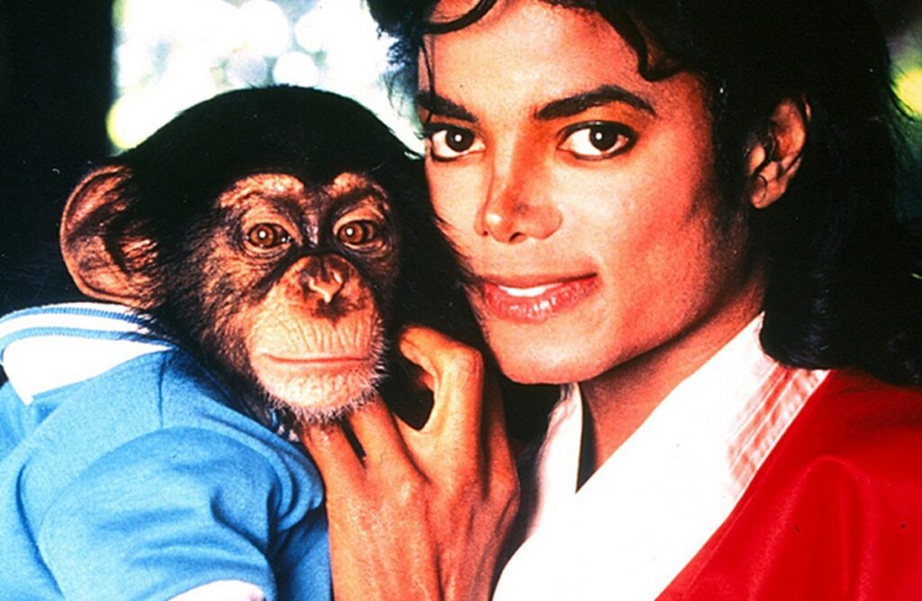 michael jackson bubbles singe