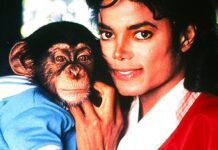 michael jackson bubbles singe