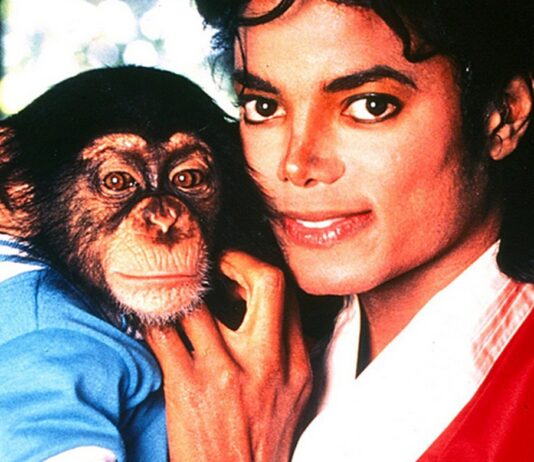 michael jackson bubbles singe