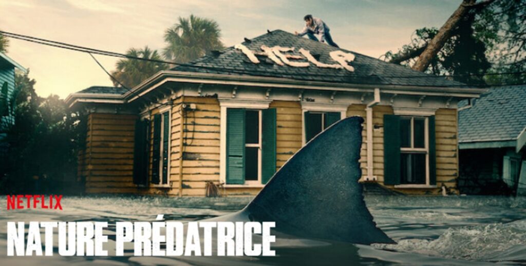 nature predatrice suite