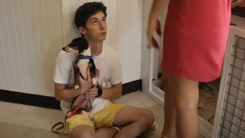 no hard feelings suite