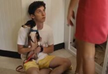 no hard feelings suite