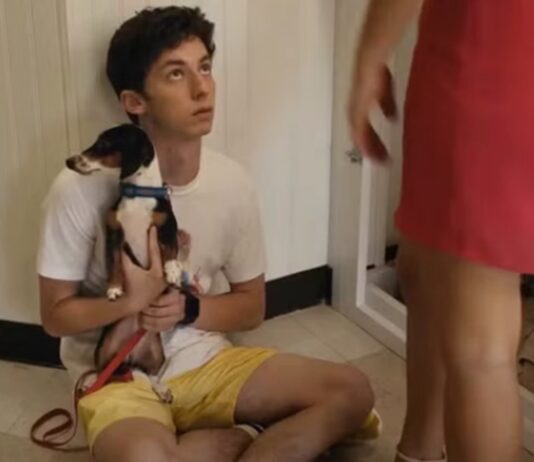 no hard feelings suite