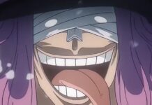 one piece episode 1160