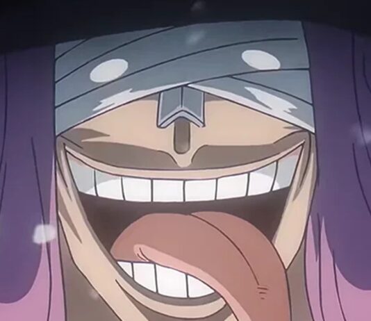 one piece episode 1160