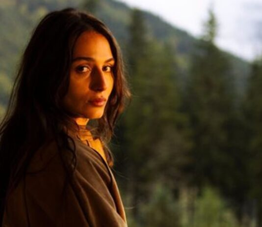 Phoenix Saison 1 : Explication de la fin ! Qui est mort ? phoenix saison 1 fin