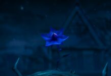 stranger things chroniques de 1985 fleur bleue