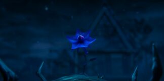 stranger things chroniques de 1985 fleur bleue