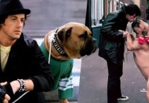 Le chien Butkus Stallone