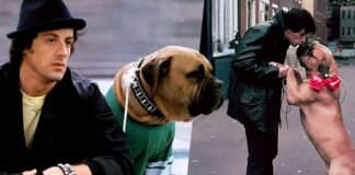 Le chien Butkus Stallone