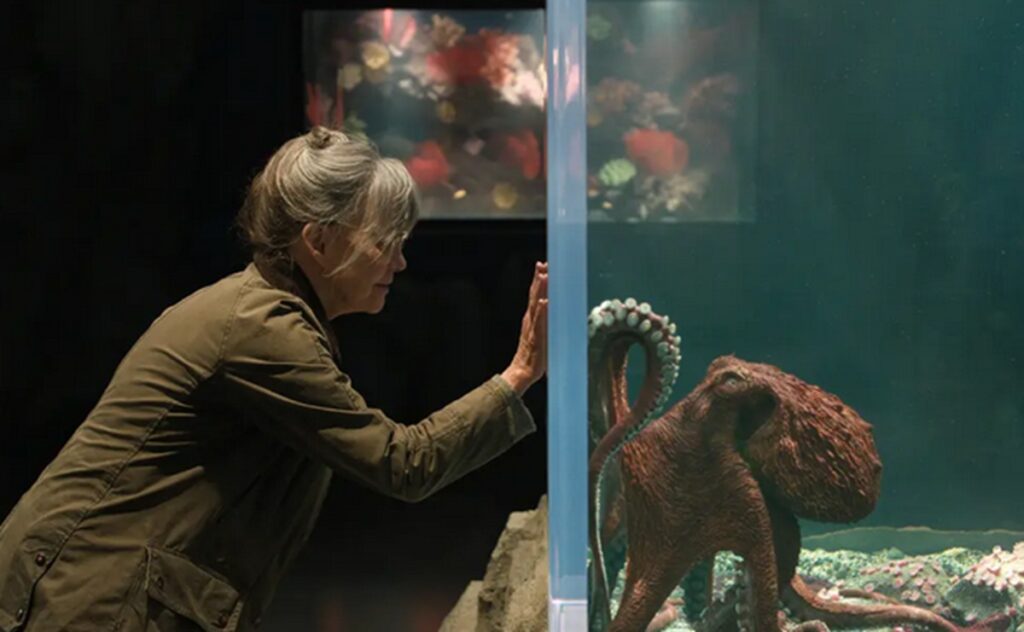de si remarquables creatures vraie pieuvre