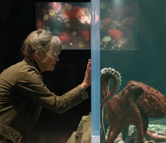 de si remarquables creatures vraie pieuvre