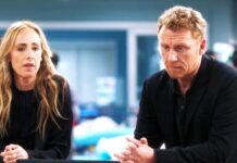 greys anatomy saison 23