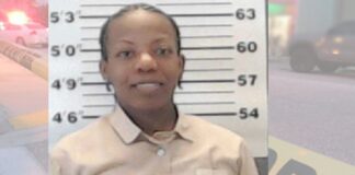 joyce lewis pelzer aujourdhui