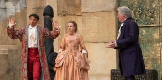 lobjet du delit streaming
