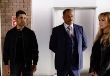 ncis saison 22 fin