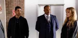ncis saison 22 fin