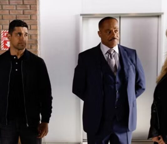 ncis saison 22 fin
