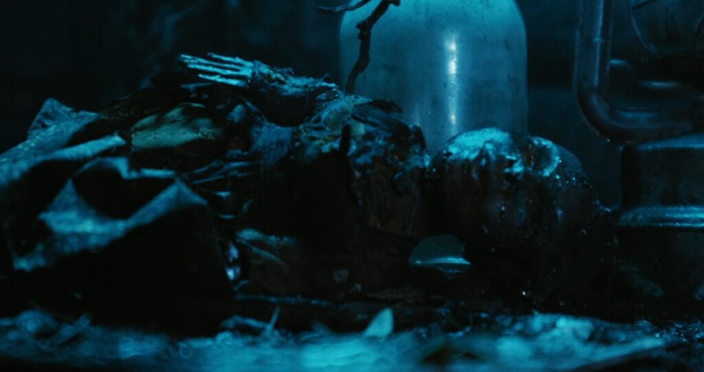 spell fin film