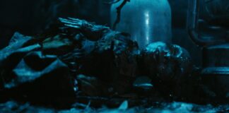 spell fin film