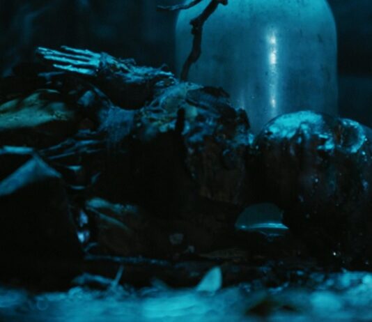 spell fin film